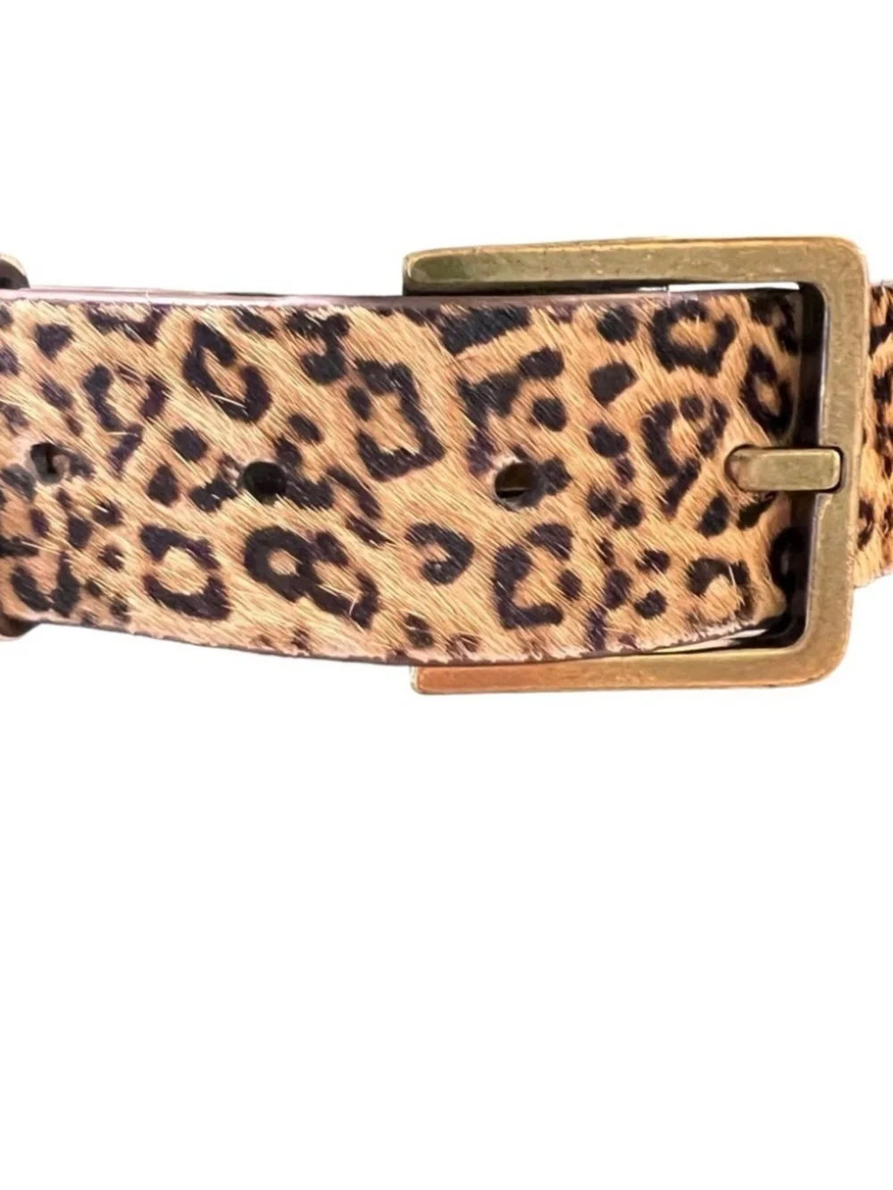 CABI Kipling Leopard Calf Hair Leather Belt Medium